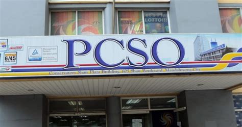 PCSO chair named acting general manager .
